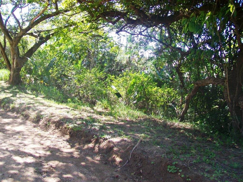 1681 m² Land available in Ramsgate photo number 5