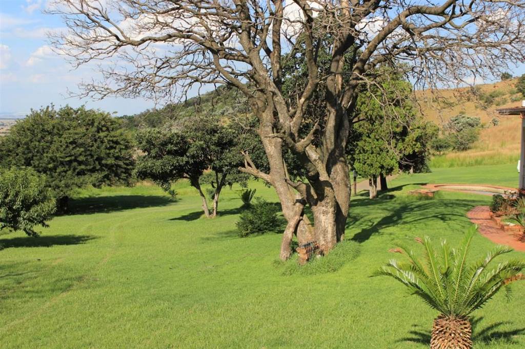 34.3 ha Land available in Krugersdorp Central photo number 11
