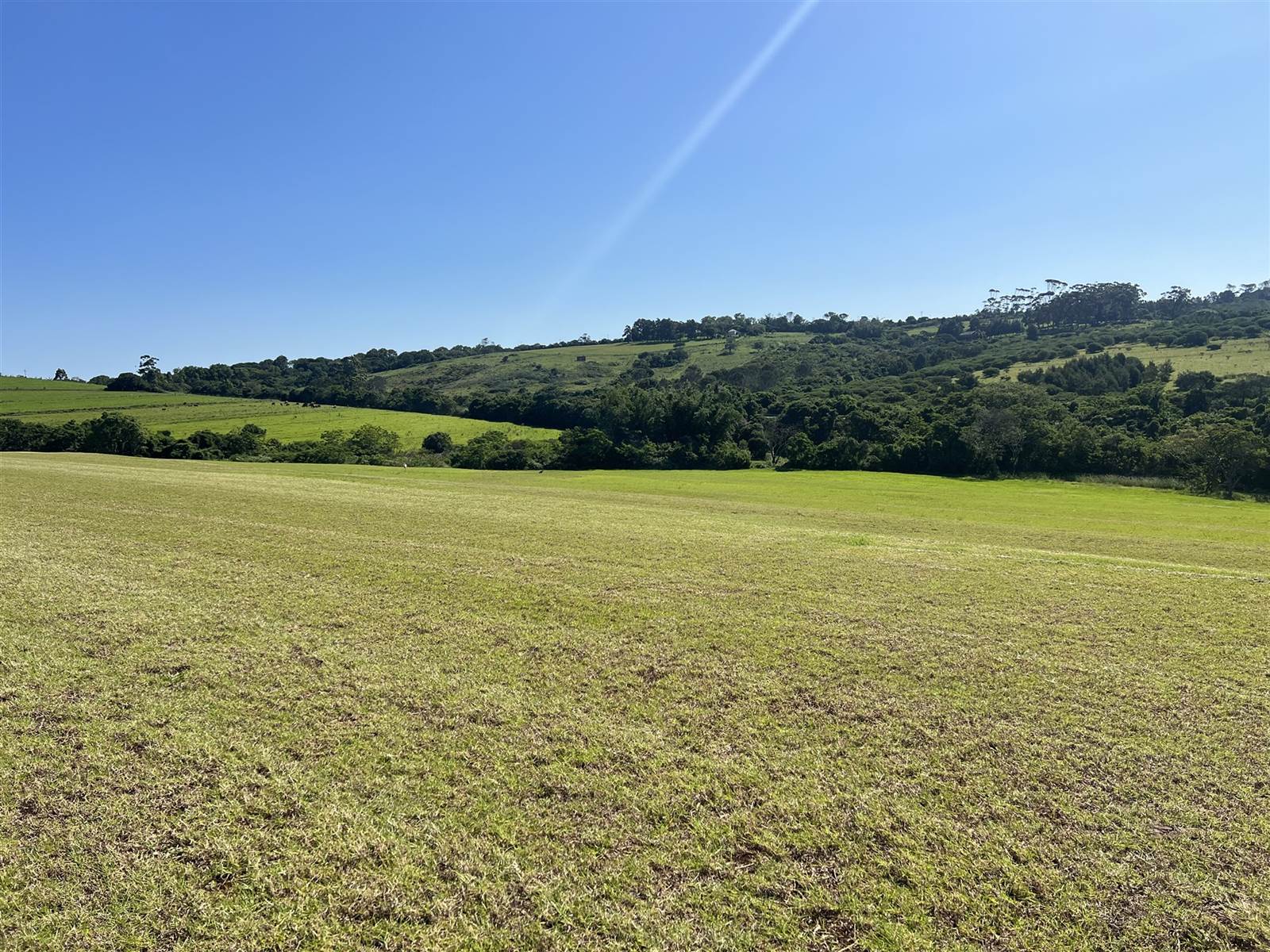 4.8 ha Smallholding in East London Rural photo number 6