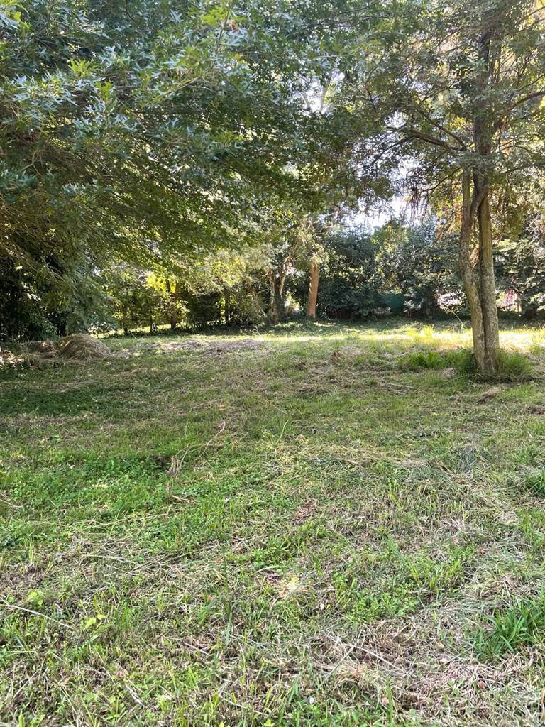 1018 m² Land available in Howick photo number 4
