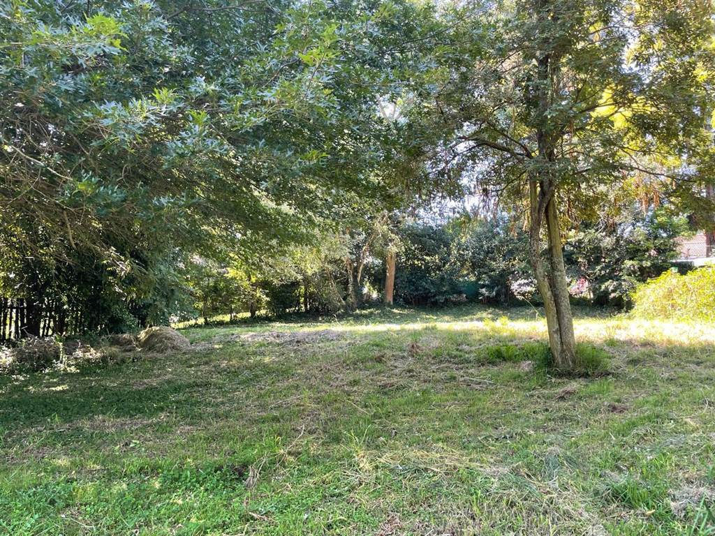1018 m² Land available in Howick photo number 5