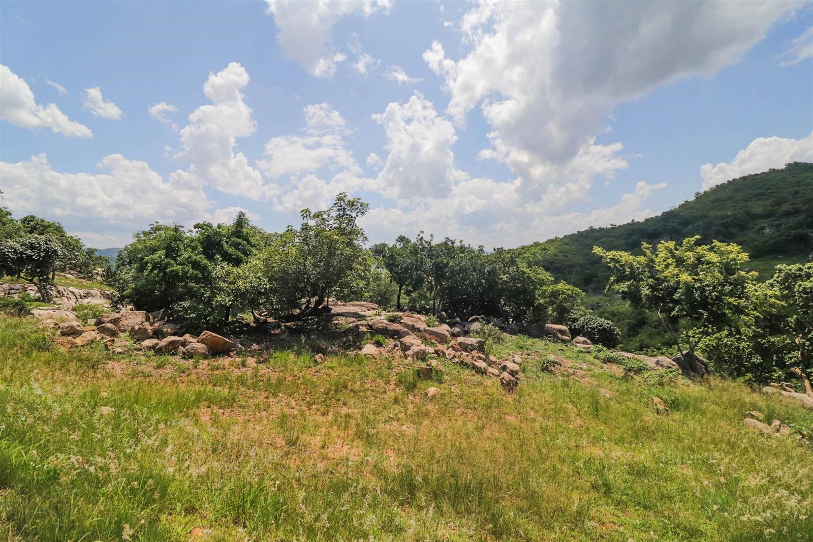 1136 m² Land available in The Rest Nature Estate photo number 6