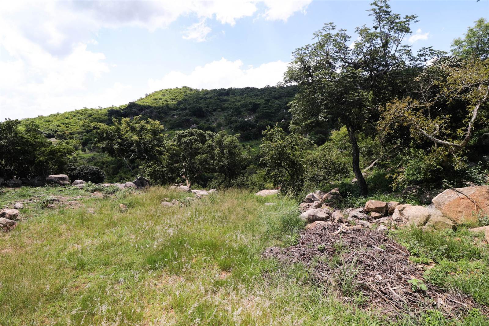 1136 m² Land available in The Rest Nature Estate photo number 7