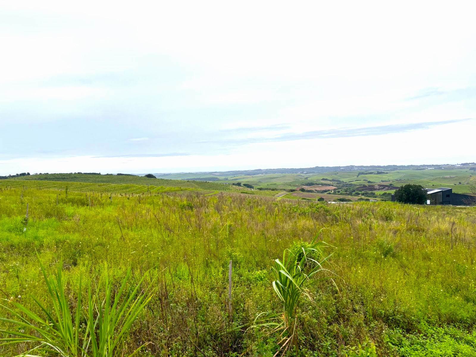 2.2 ha Land available in Ballito photo number 3
