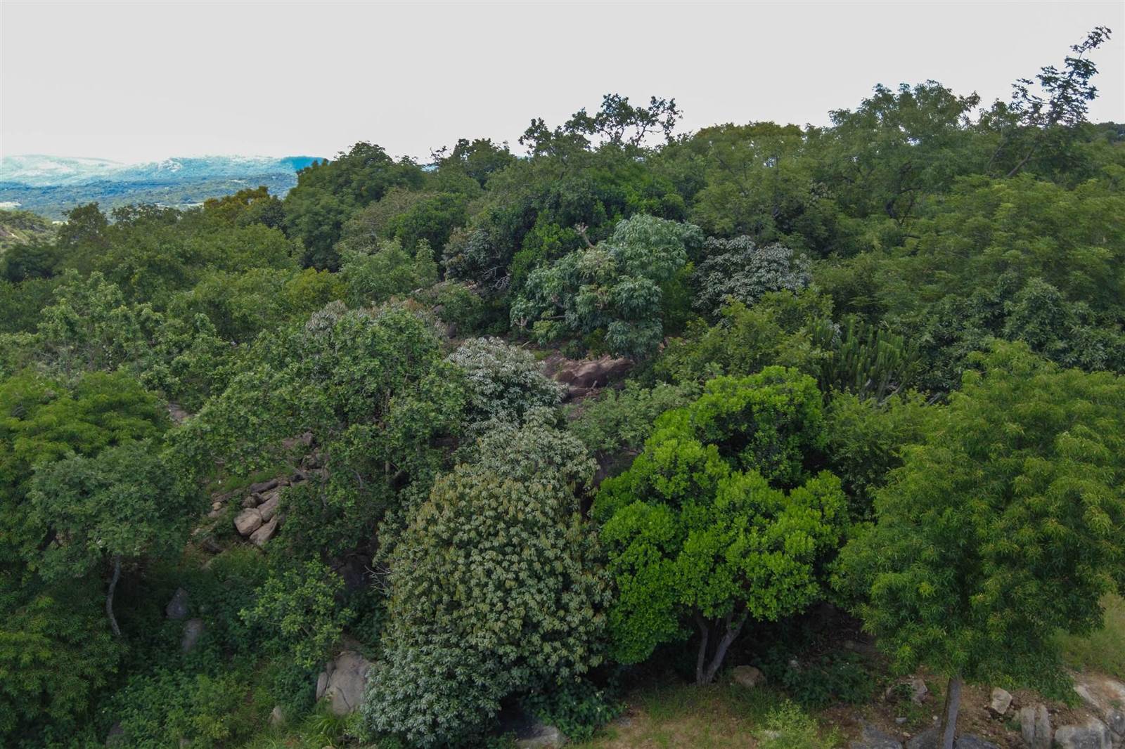 1379 m² Land available in The Rest Nature Estate photo number 3