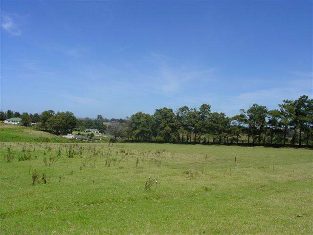 1.8 ha Land available in Humansdorp photo number 5
