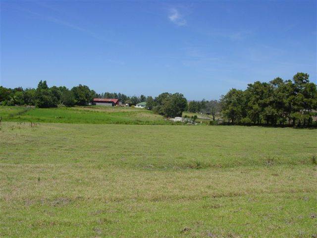 1.8 ha Land available in Humansdorp photo number 4