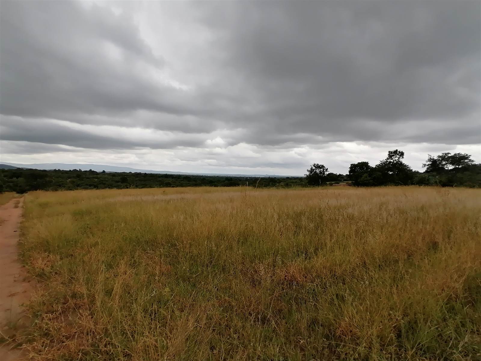 21 ha Land available in Tzaneen photo number 1