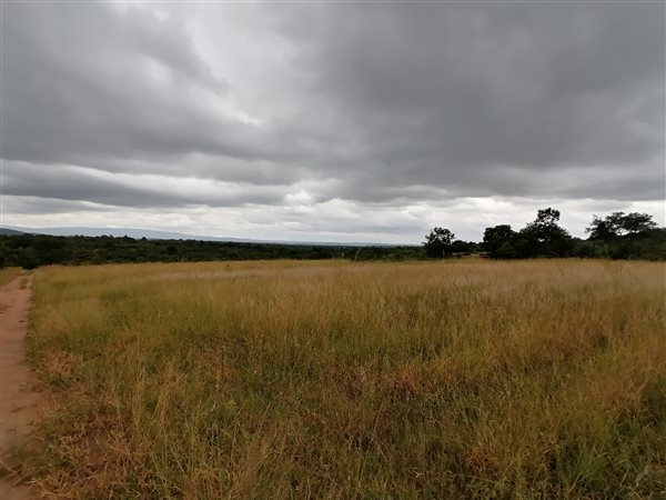 21 ha Land available in Tzaneen