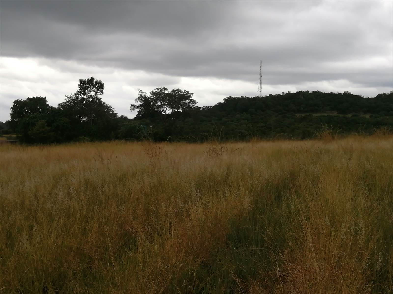 21 ha Land available in Tzaneen photo number 3