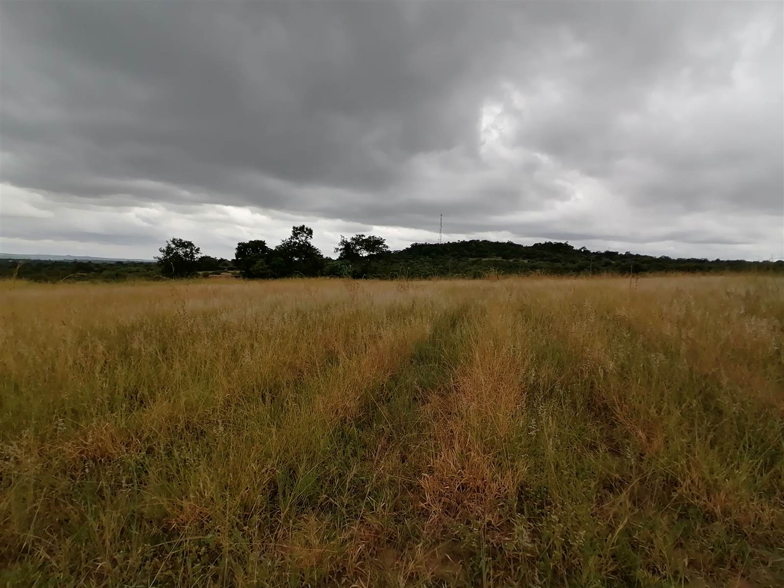 21 ha Land available in Tzaneen photo number 4
