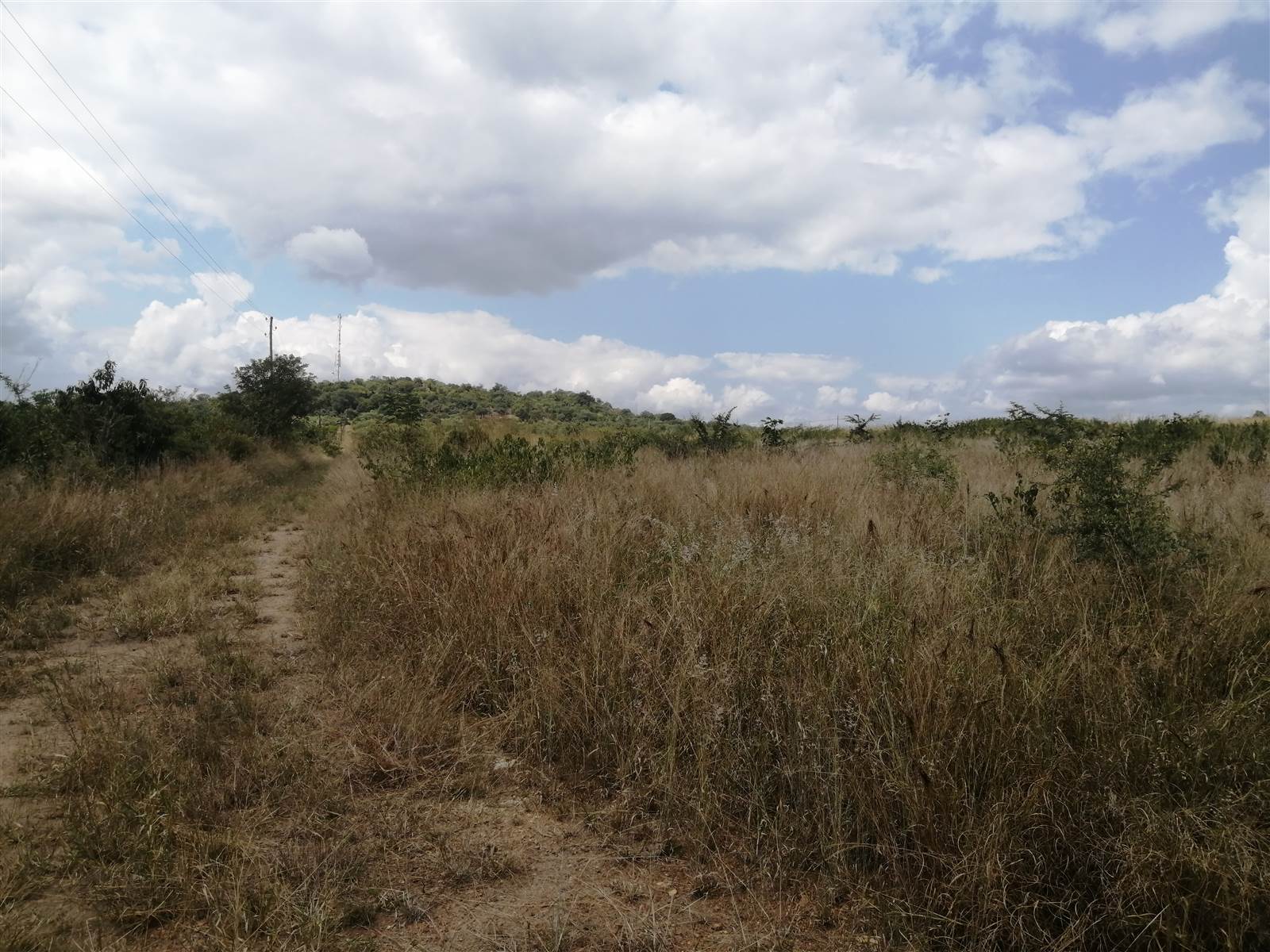 21 ha Land available in Tzaneen photo number 9