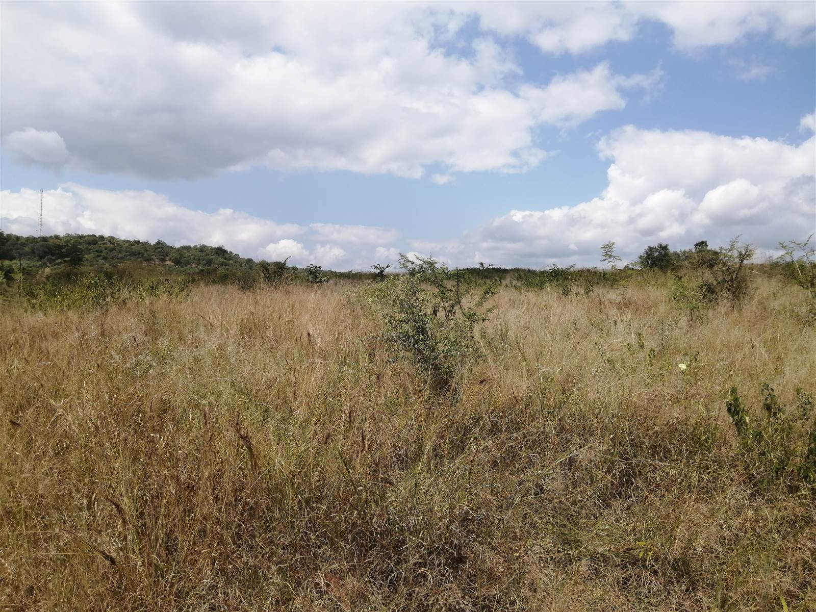 21 ha Land available in Tzaneen photo number 8