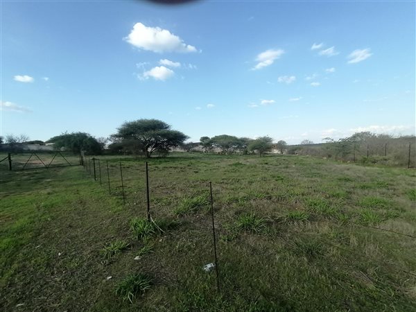 8033 m² Land available in Bendor