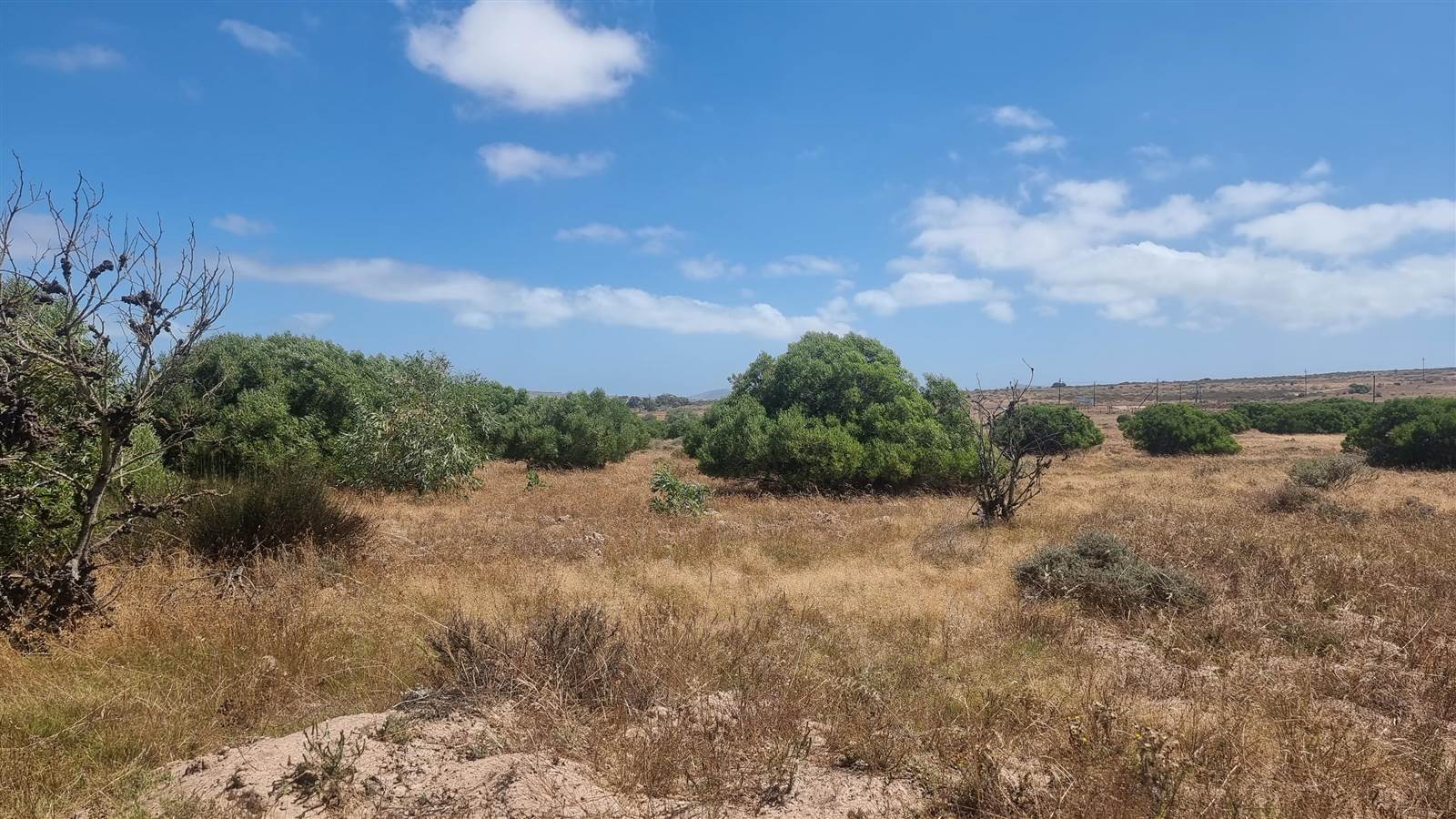 2 ha Land available in Long Acres photo number 6