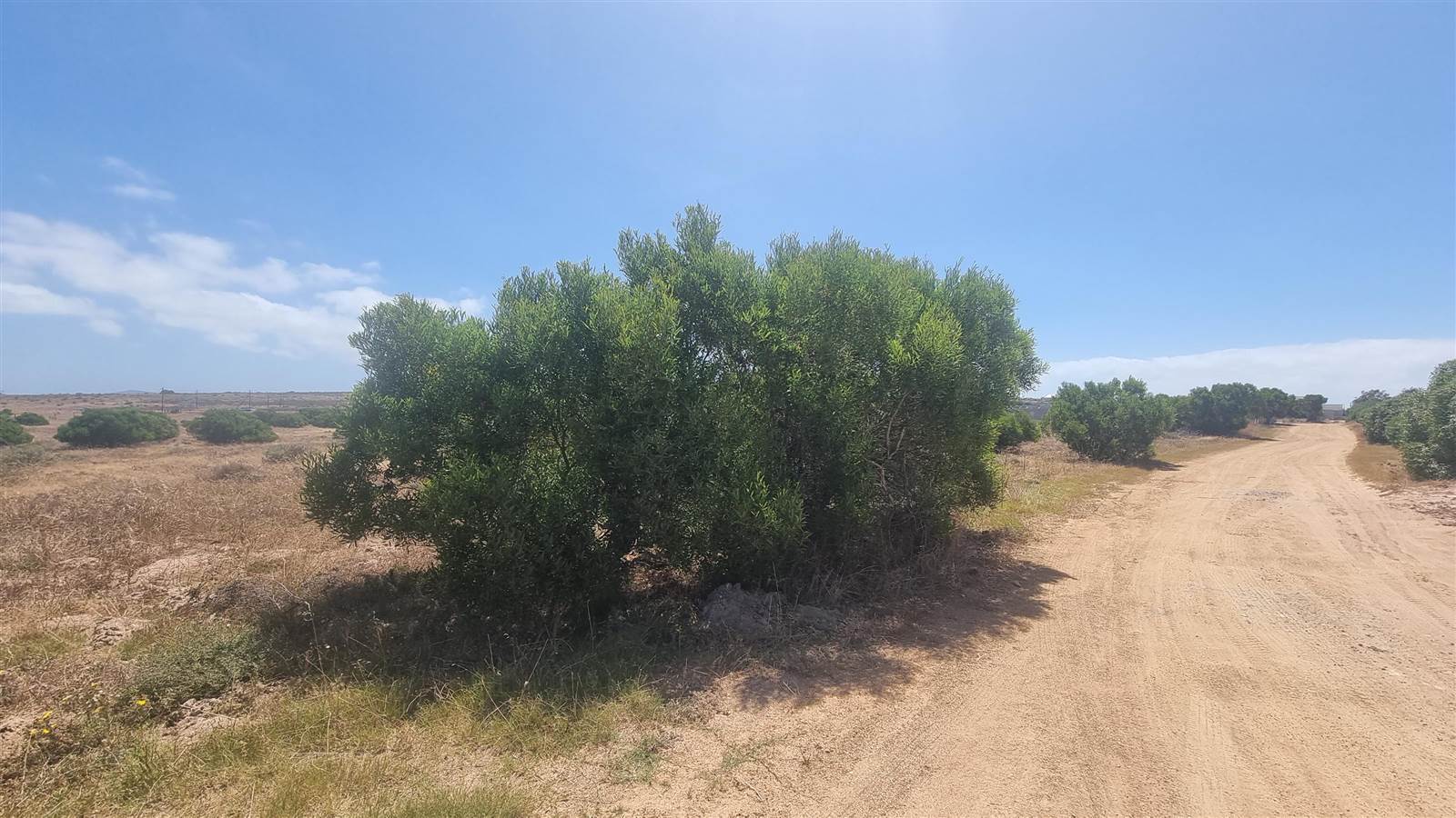 2 ha Land available in Long Acres photo number 9