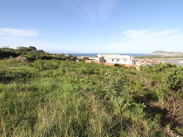 1223 m² Land available in Whale Rock