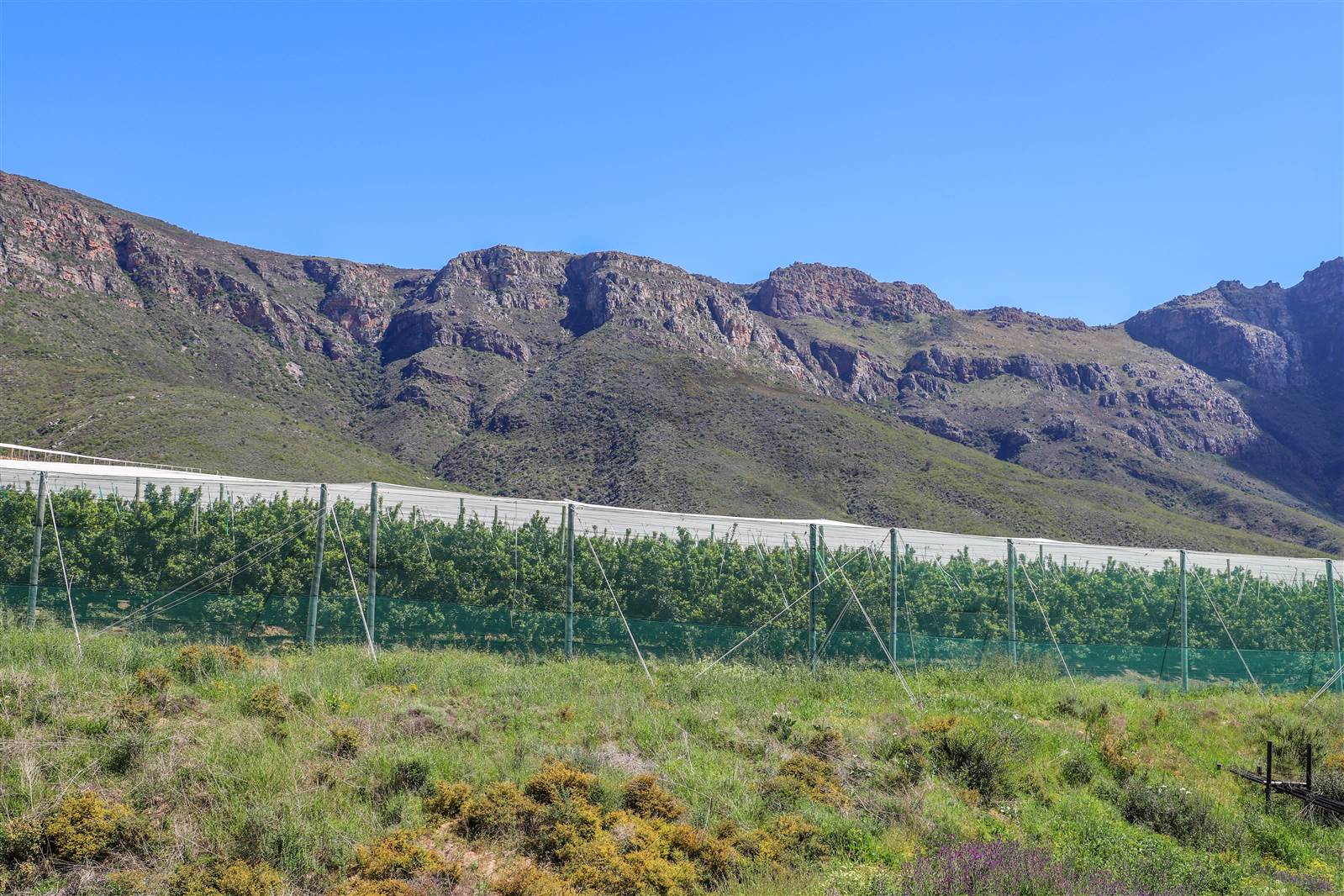 69 ha Farm in Piketberg photo number 20