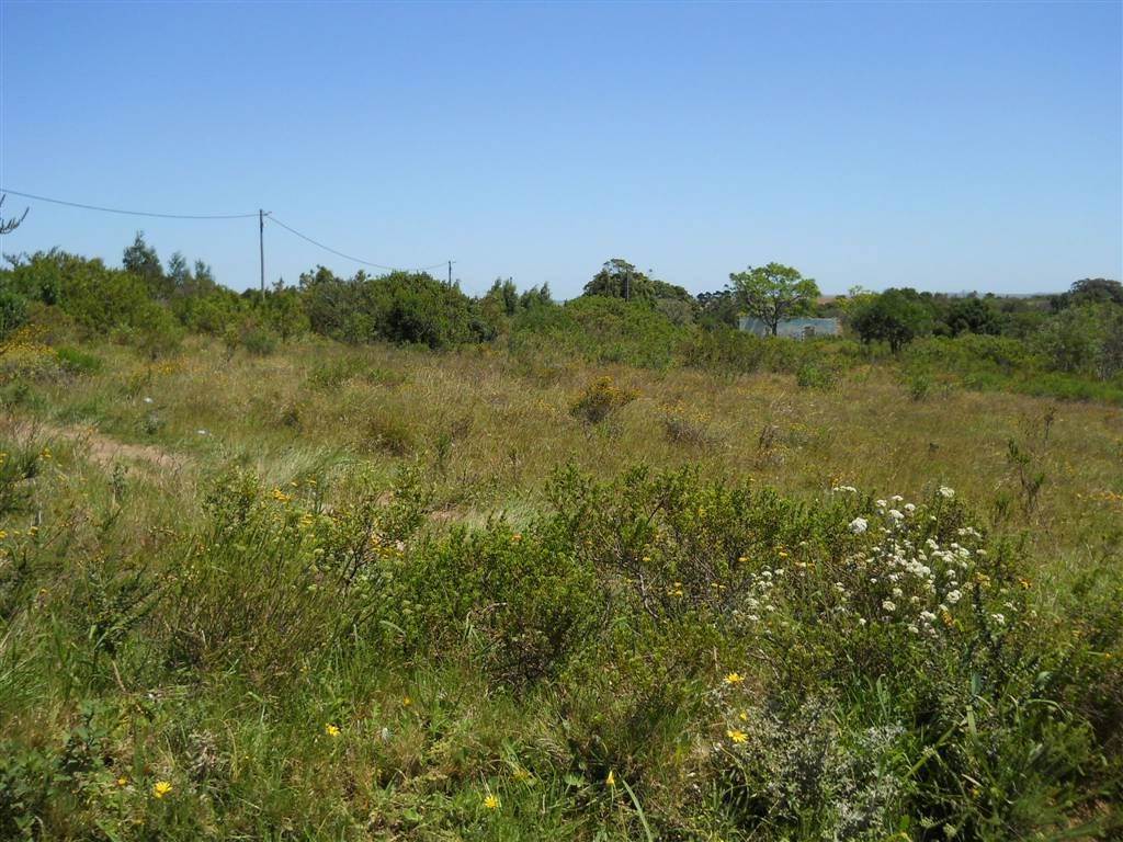 15.9 ha Land available in Kruisfontein photo number 2