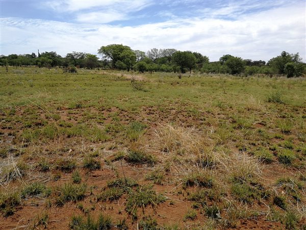 29.9 ha Land available in Derdepoort