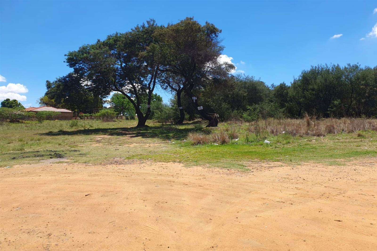 3350 m² Land available in Jackaroo Park photo number 5