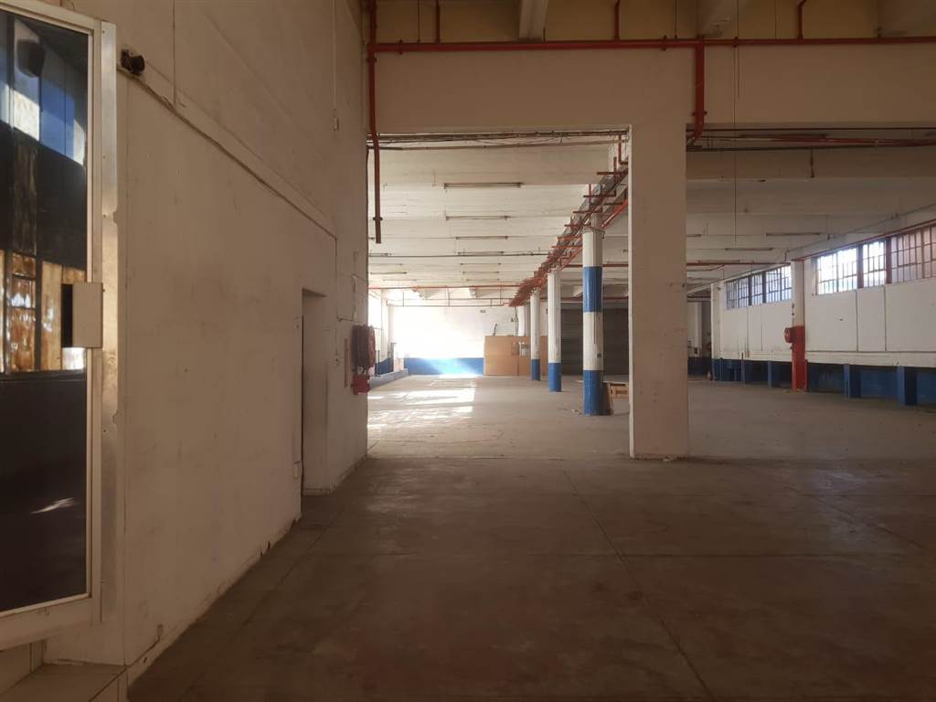 1389  m² Industrial space in Benrose photo number 14