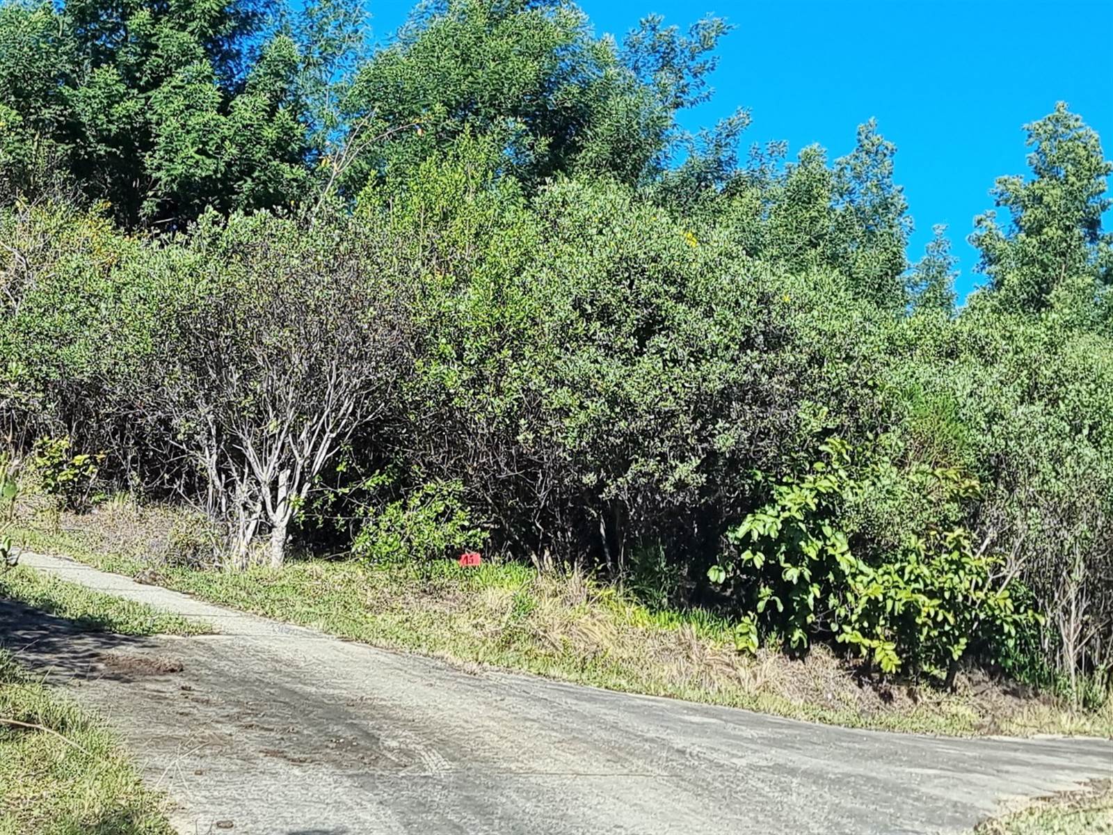 24.6 ha Land available in Knysna Central photo number 12