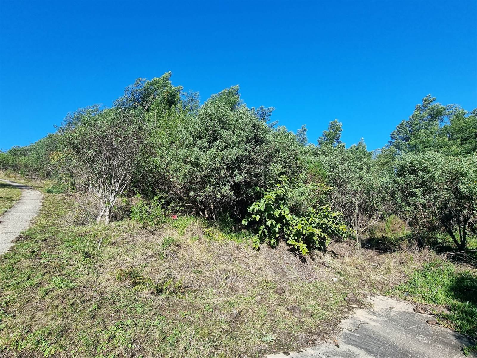 24.6 ha Land available in Knysna Central photo number 13