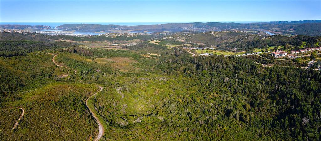 24.6 ha Land available in Knysna Central photo number 29
