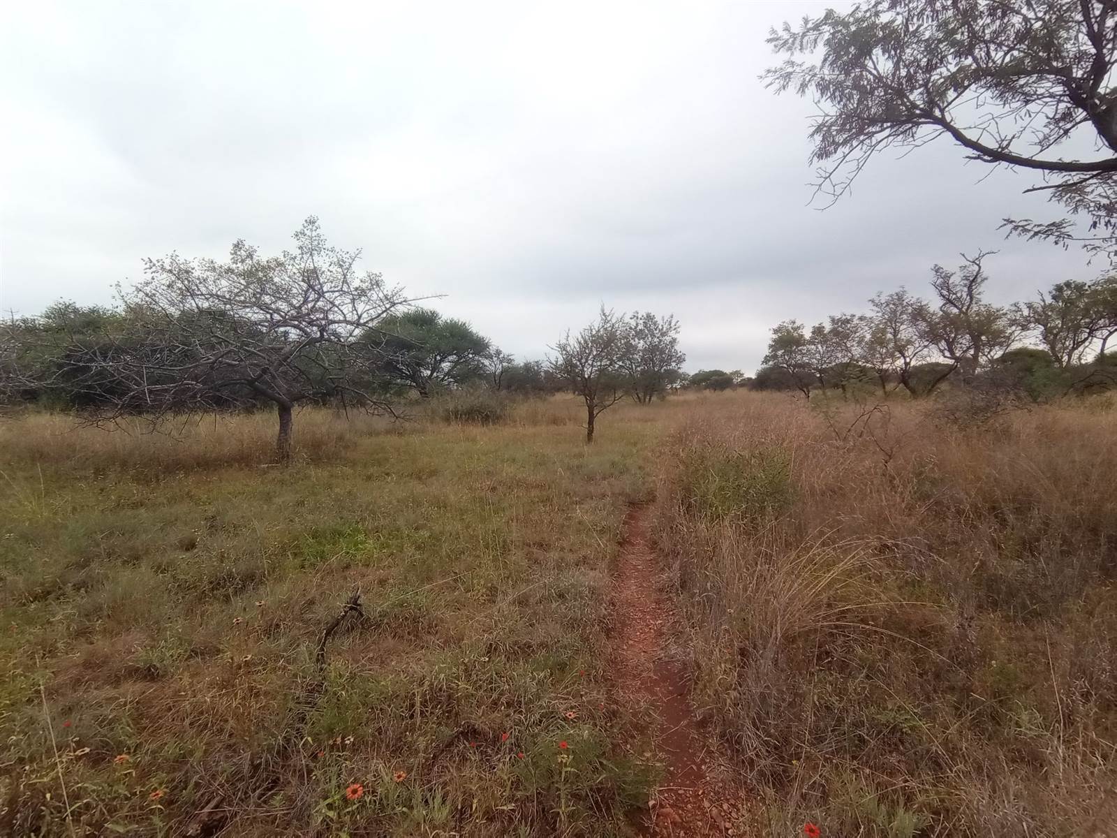 22.5 ha Land available in Bendor Park photo number 3