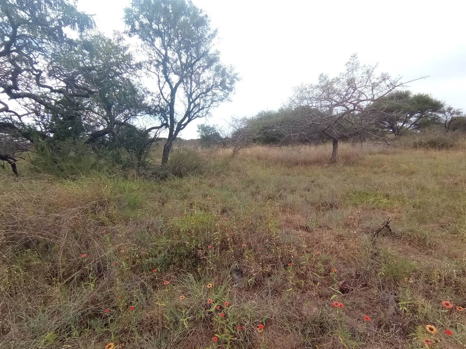 22.5 ha Land available in Bendor Park photo number 4