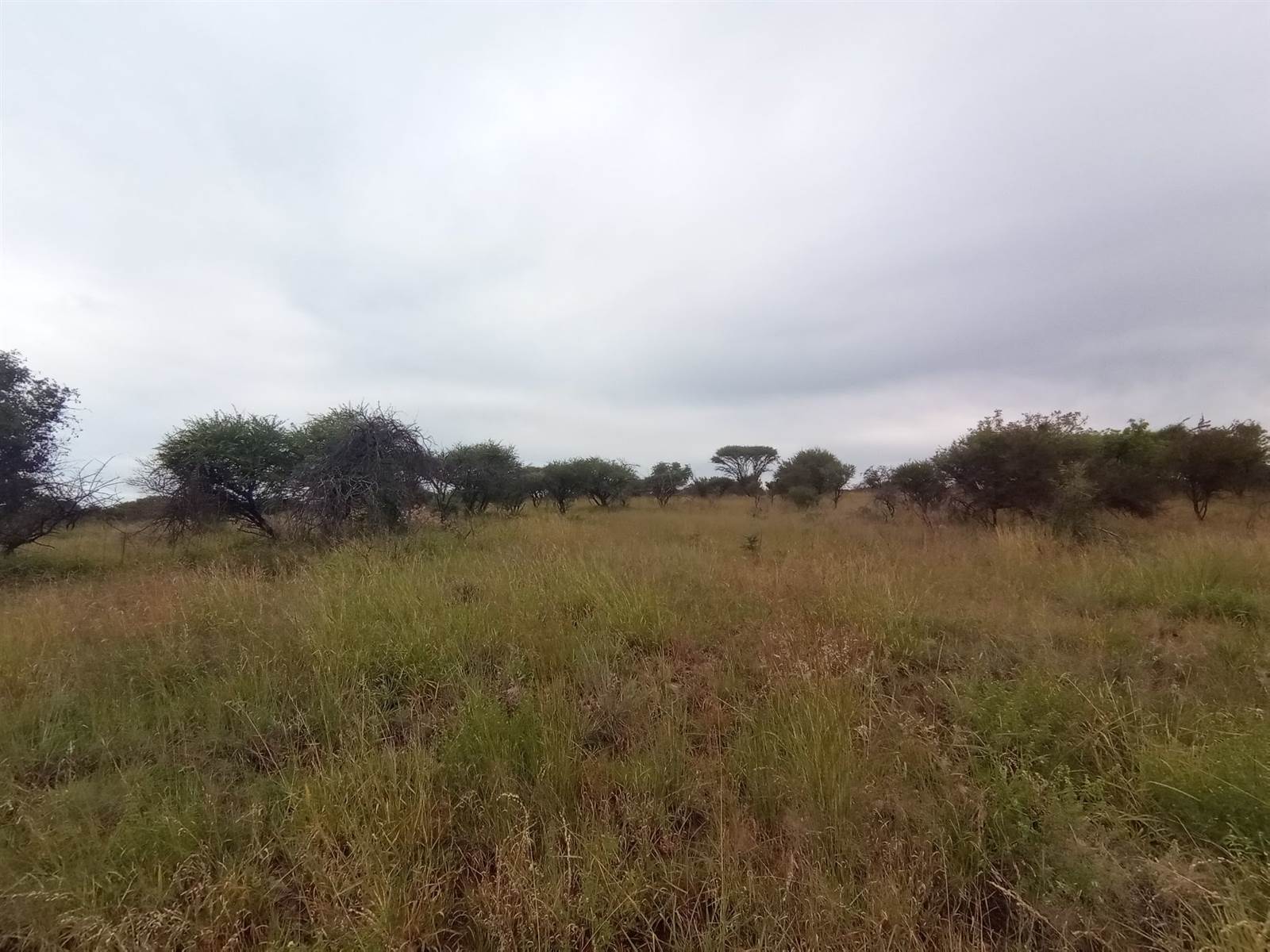 22.5 ha Land available in Bendor Park photo number 1