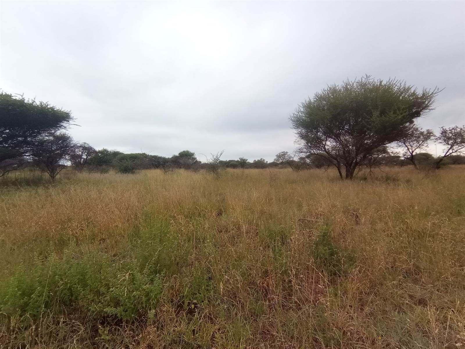 22.5 ha Land available in Bendor Park photo number 6
