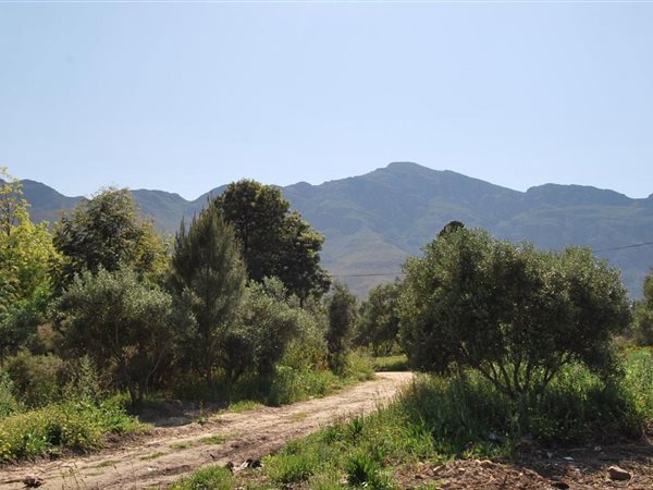 1 254 m² Land