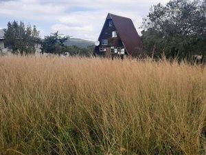 1877 m² Land available in Lynnfield Park