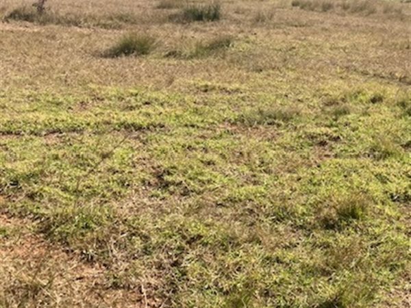 1 000 m² Land