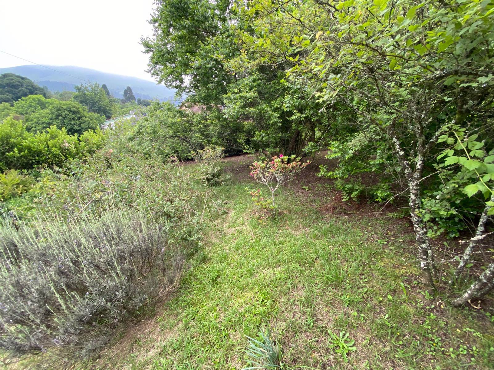 2023 m² Land available in Byrne Valley photo number 13