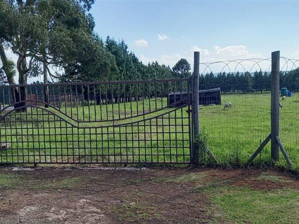 2 ha Land available in Mooi River