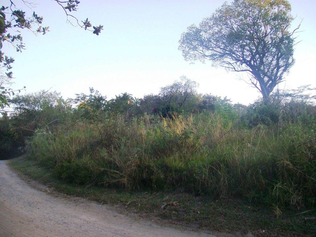1058 m² Land available in Margate photo number 4