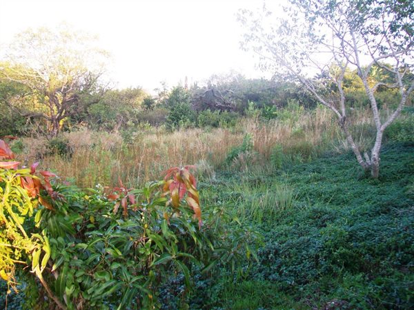 1058 m² Land available in Margate