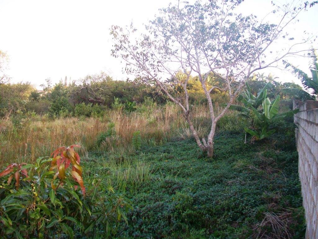 1058 m² Land available in Margate photo number 3