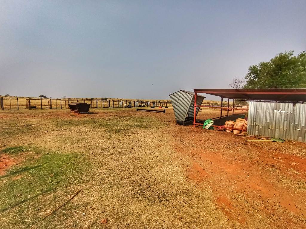 1566 ha Farm in Olifantshoek photo number 29