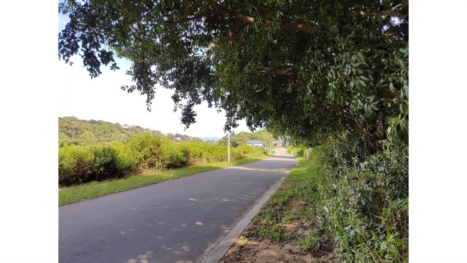 925 m² Land available in Mount Richmore Estate photo number 13