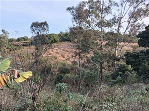 4.8 ha Farm in Umkomaas