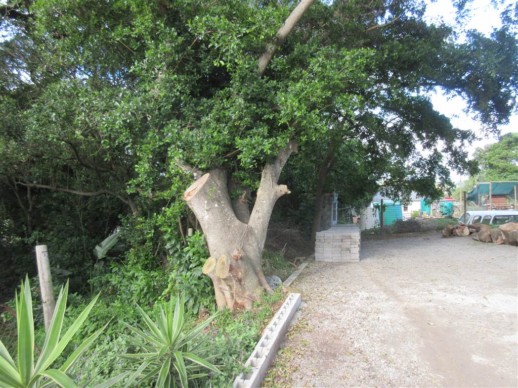877 m² Land available in East Bank