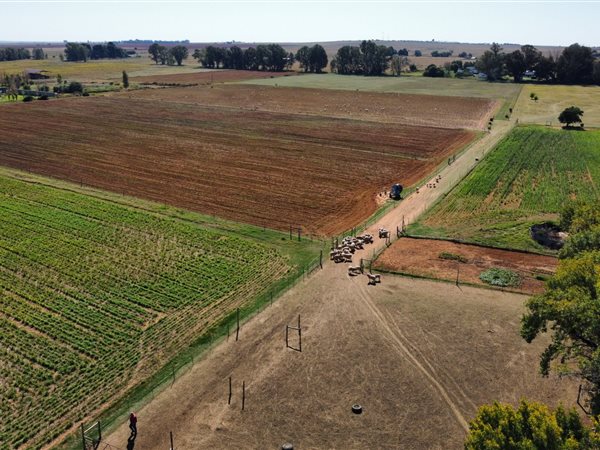 17 ha Farm 17 ha Farm