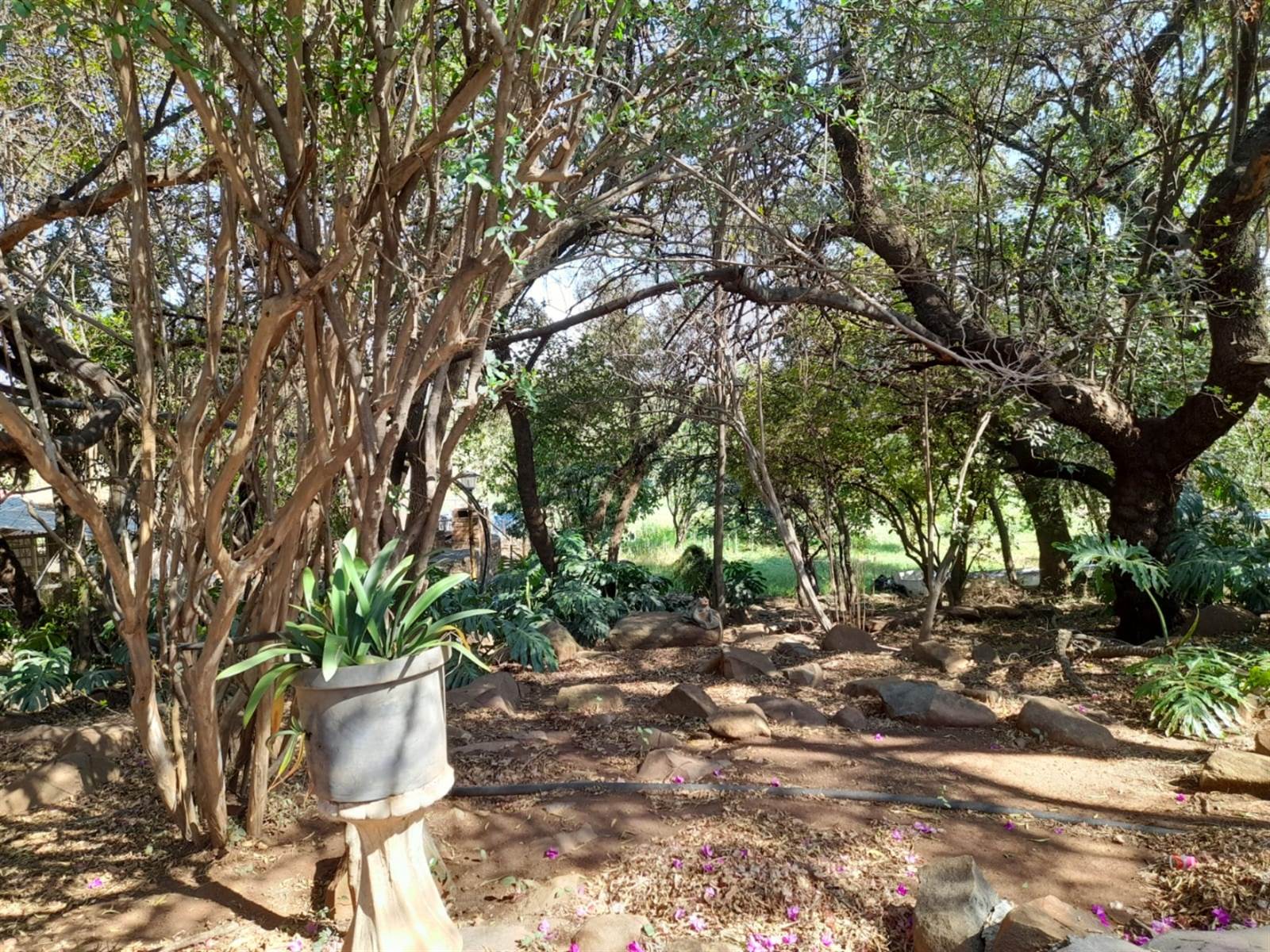 8 ha Land available in Rietfontein AH photo number 11