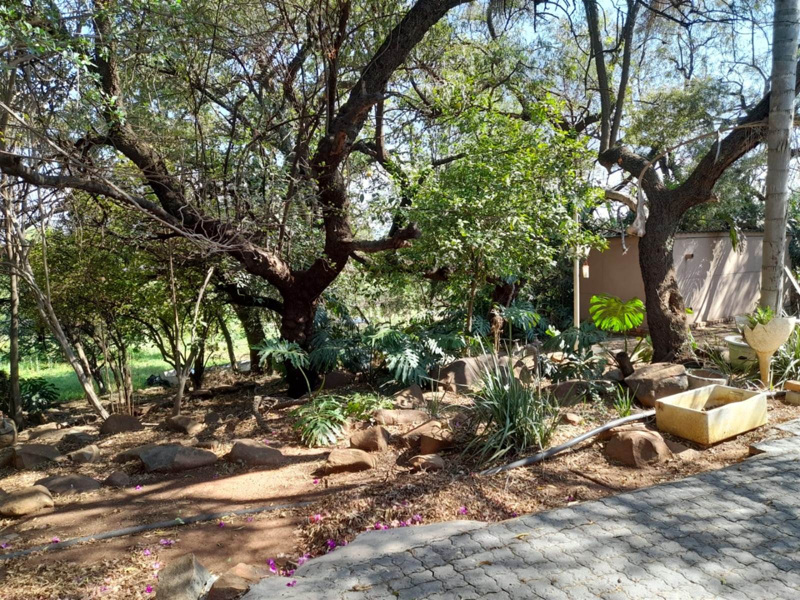 8 ha Land available in Rietfontein AH photo number 13