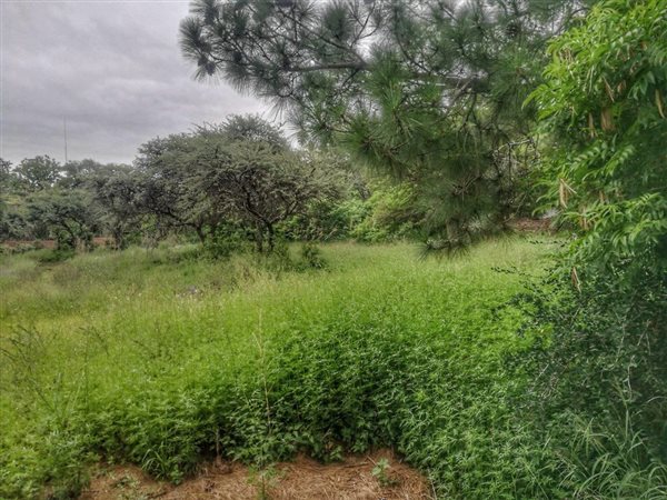 7.2 ha Land available in Wilkoppies