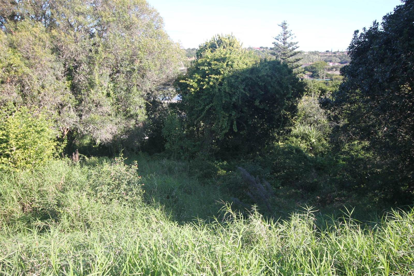 697 m² Land available in East Bank photo number 5